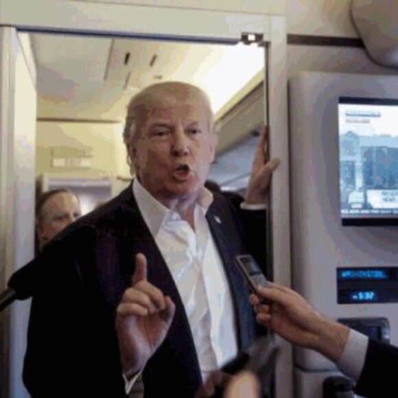 Meet your Posher, William - Picture 10 of 16